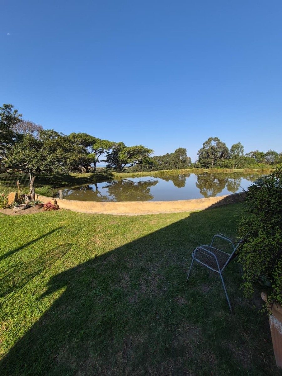 Commercial Property for Sale in Cove Rock Eastern Cape